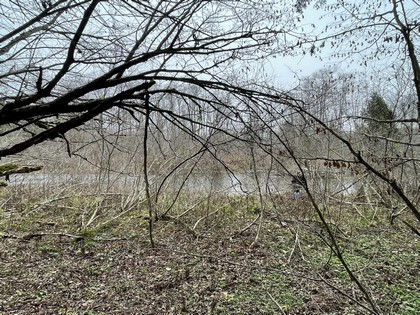 NY waterfront land for sale