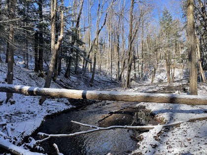 NY waterfront land for sale