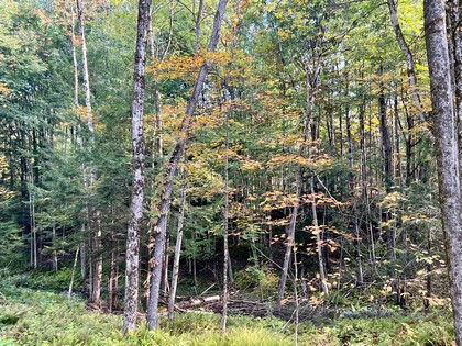 NY land and camps for sale