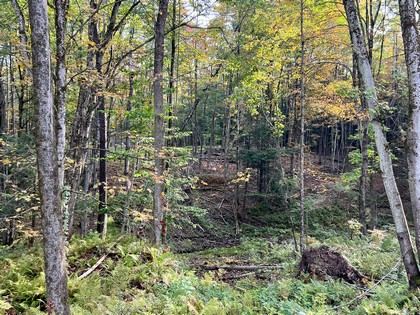 NY hunting land for sale