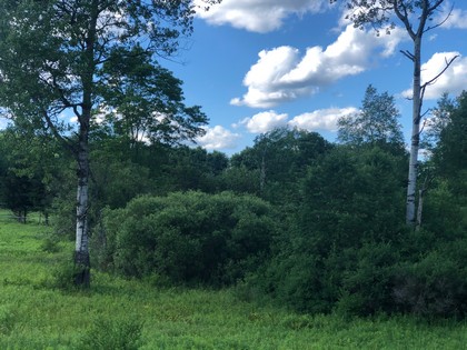 Waterfront land for sale in Fly Creek, NY