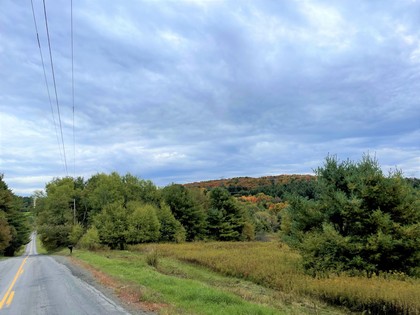 NY land for sale Catskills area