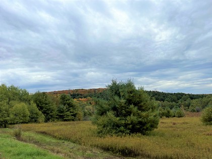 NY land for sale Catskills area