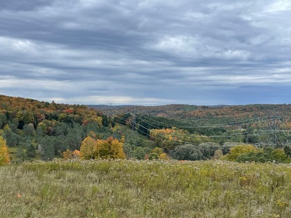 Catskills NY land for sale