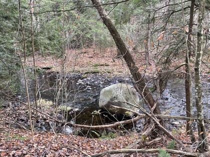 NY hunting land for sale