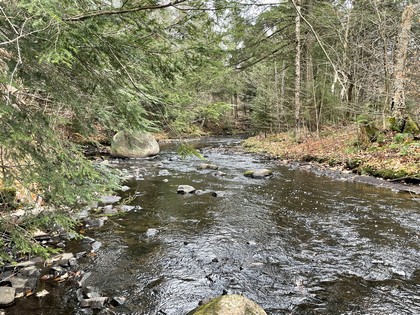 NY hunting land for sale