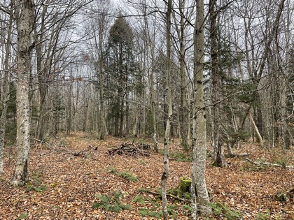 NY hunting land for sale