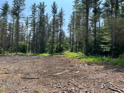 Adirondack land for sale