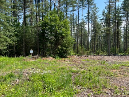 Adirondack land for sale