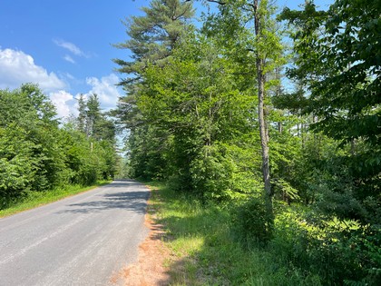 Adirondack NY land for sale