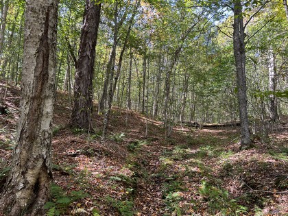 Adirondacks NY land for sale