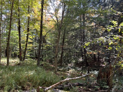 Adirondacks NY land for sale