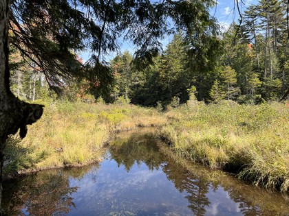 Adirondacks NY land for sale