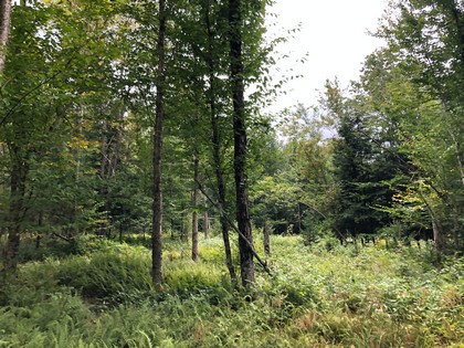 Waterfront land for sale, Adirondacks NY