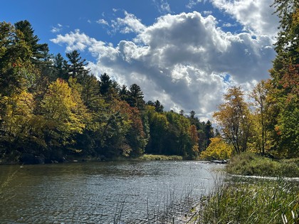 NY waterfront land for sale, land and camps, ny waterfront properties, ny lakefront land, christmas associates