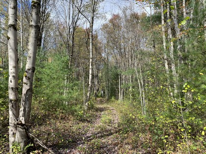 NY hunting land for sale